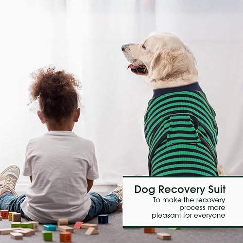 Miniatura 5 de Kuoser Store - Traje profesional para mascotas, para recuperación de cirugías, vendaje para heridas abdominales, sustituto del collar electrónico y