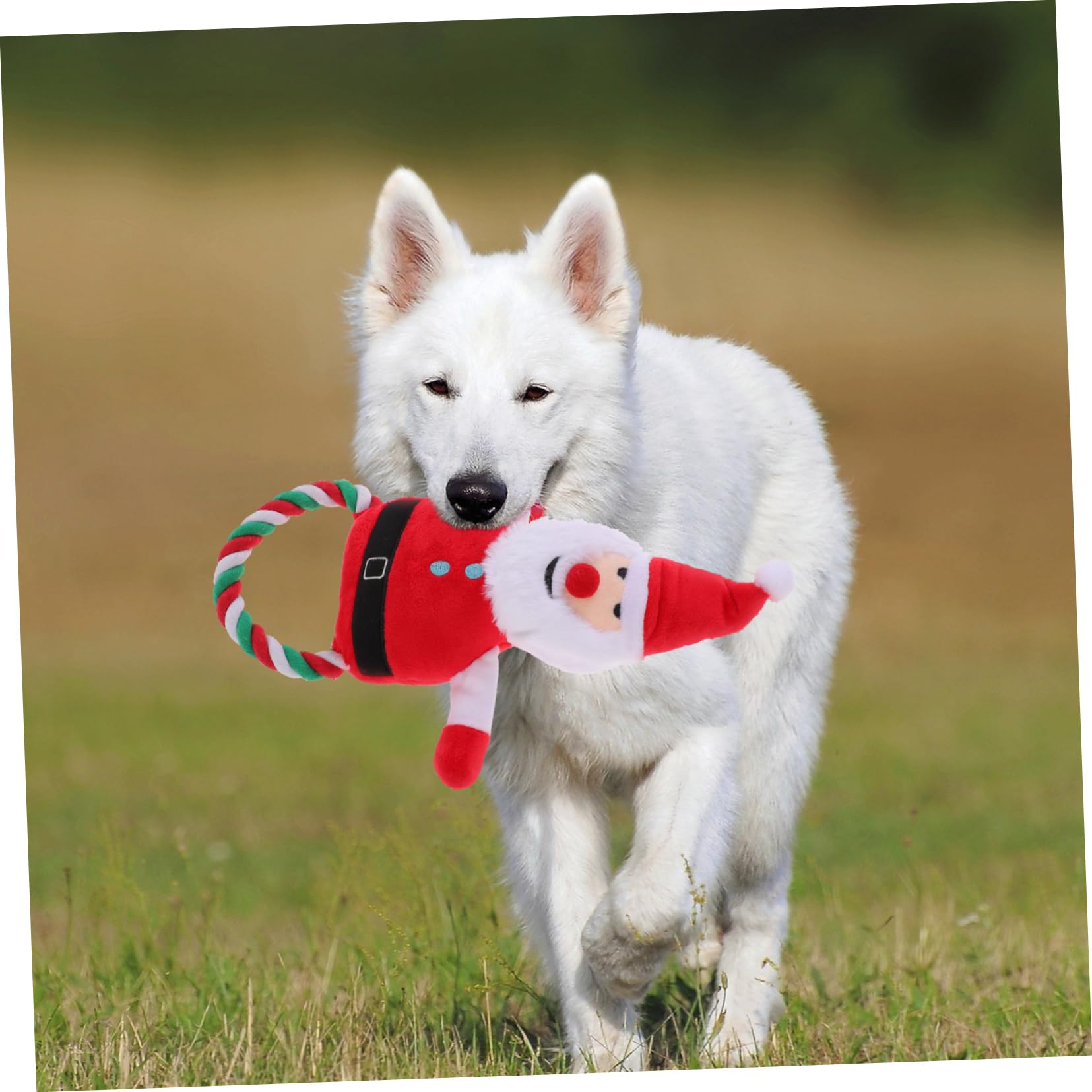 Supvox 5stücke Pet Molar Toy Weihnachtsmann Plüschspielzeug Quietschendes Kauspielzeug Für Hunde Und Interaktives Und Strapazierfähiges Kau Und Spielzeug Für Entspannte Spielzeiten