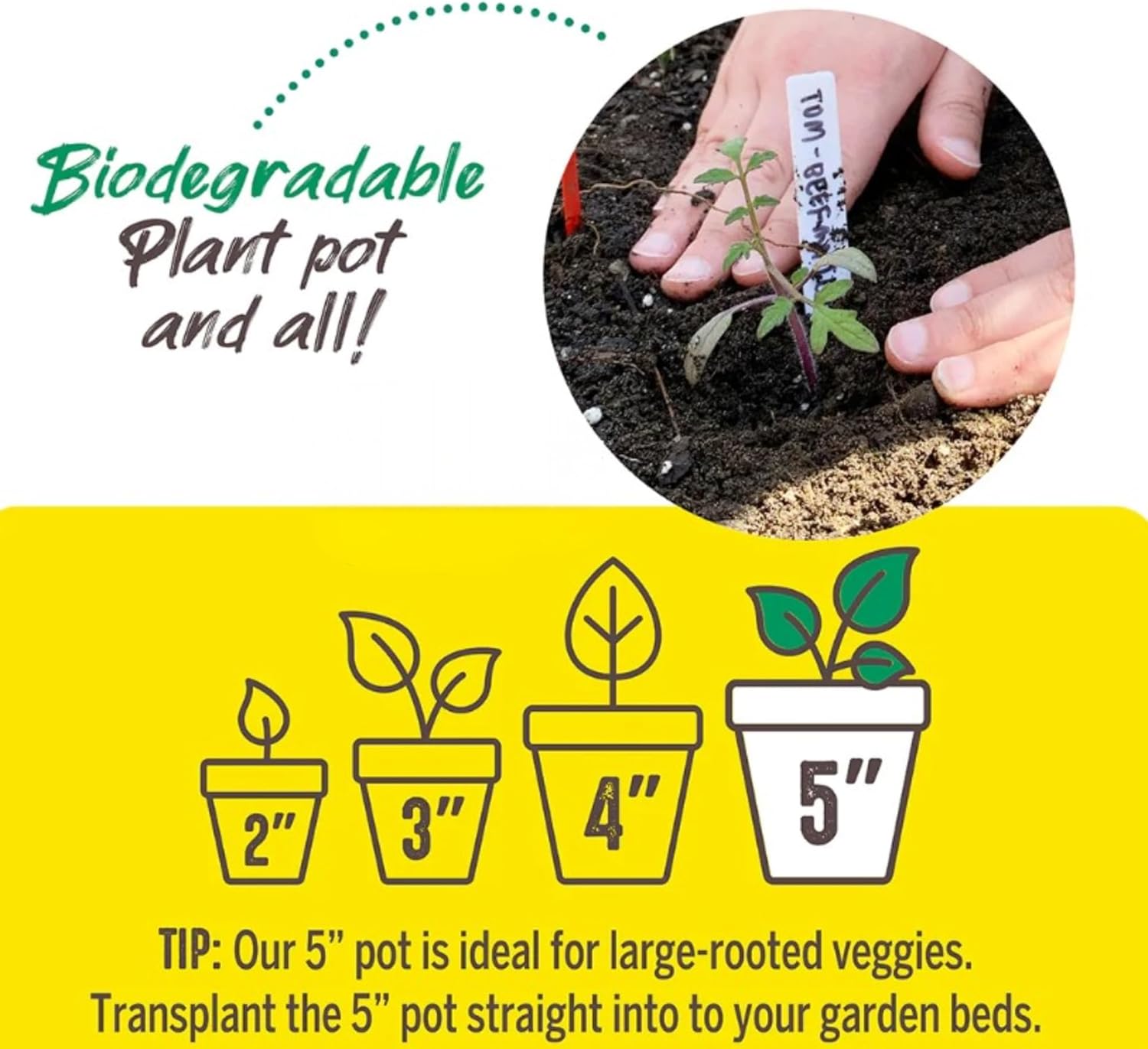 Jiffy Seed Starting Pots - Biodegradable, Ideal for Seedlings - 5 in, 24 Pack - Peat