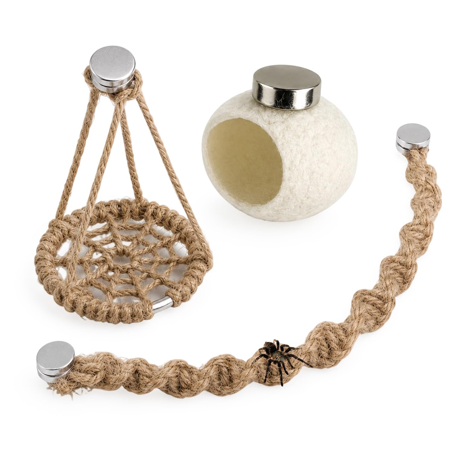 3 PCS Jumping Spider Accessories for Pet Spider Terrarium Decor