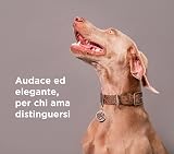 Ver la foto 2