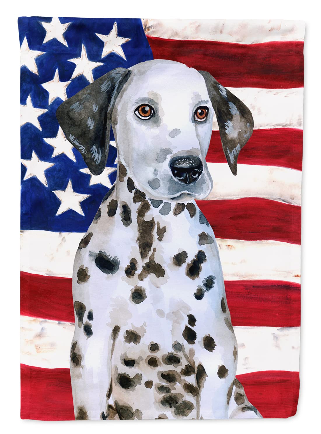 Drapeau dalmatien grand format pour maison toile décorative extérieure multicolore BB9708CHF