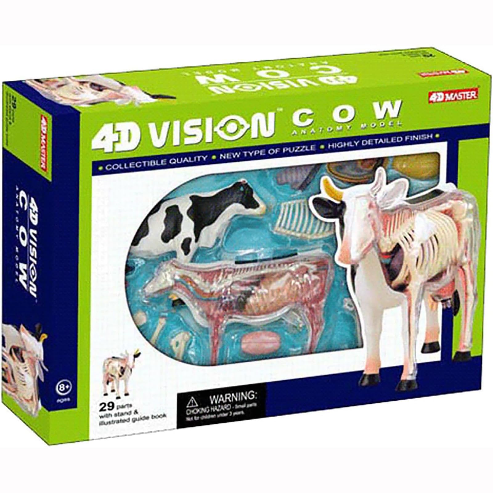 Teaching 4D - Modelo de anatomía de vaca, esqueleto de animal, biología, 29 piezas para veterinaria clínica de mascotas, entrenamiento escolar, modelo de esqueleto de demostración