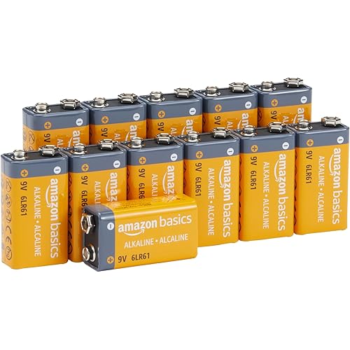Amazon Basics 12-Pack 9V Alkaline Batteries, 5-Year Shelf Life - For Smoke/CO Detector, Electronics & Audio