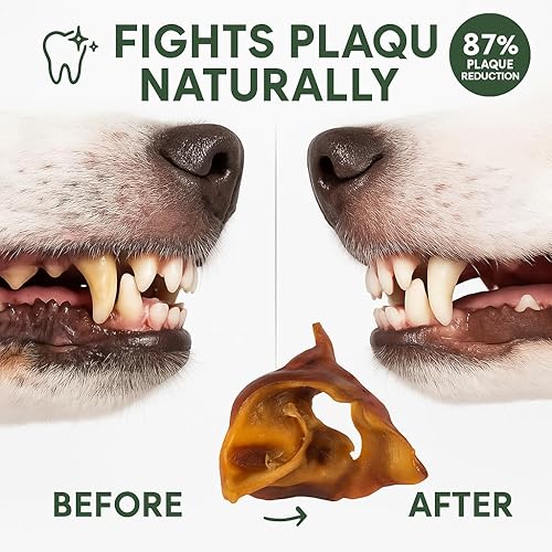 Miniatura 3 de Correas para los oídos para perros de una o dos libras de todos los tratamientos naturales saludables para perros. Hecho de cortes de cerdo puro. La