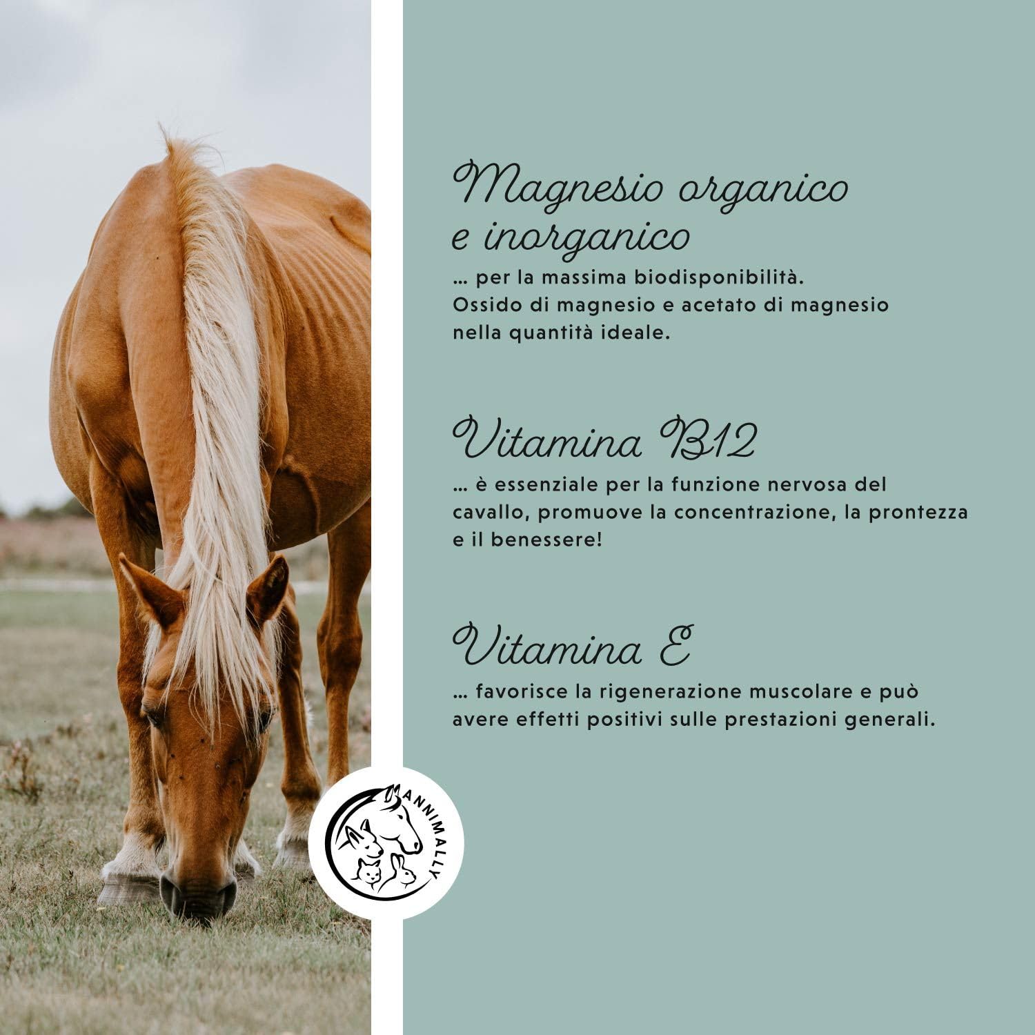 Annimally Pellet di Magnesio per Cavalli 1 kg - Acetato di Magnesio e Ossido di Magnesio per la Massima biodisponibilità