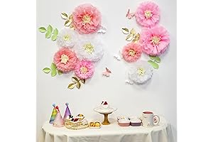 Joyyy Party Tissue Paper Flowers Pom Poms for Floral Backdrop Nursery Decorations (Pink and White)