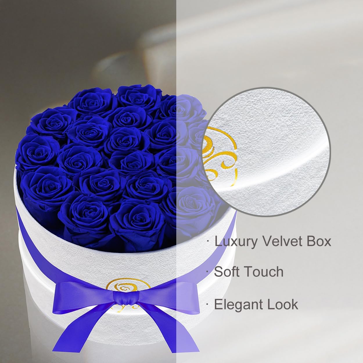 Gifts for Women Preserved Roses Flower Box, Luxury Velvet Box with 20 Roses, Preserved Flowers, Romantic Gift for Her, Wife, Girlfriend, Birthday Anniversary Christmas (Royal Blue)