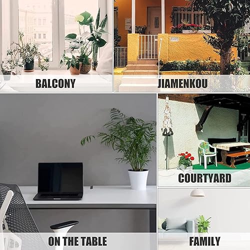 Miniatura 3 de QUTBAG Macetero para perros  Lindas macetas para perros de Bichon Frize para plantas de interior y exterior, macetas de PVC con agujero de drenaje