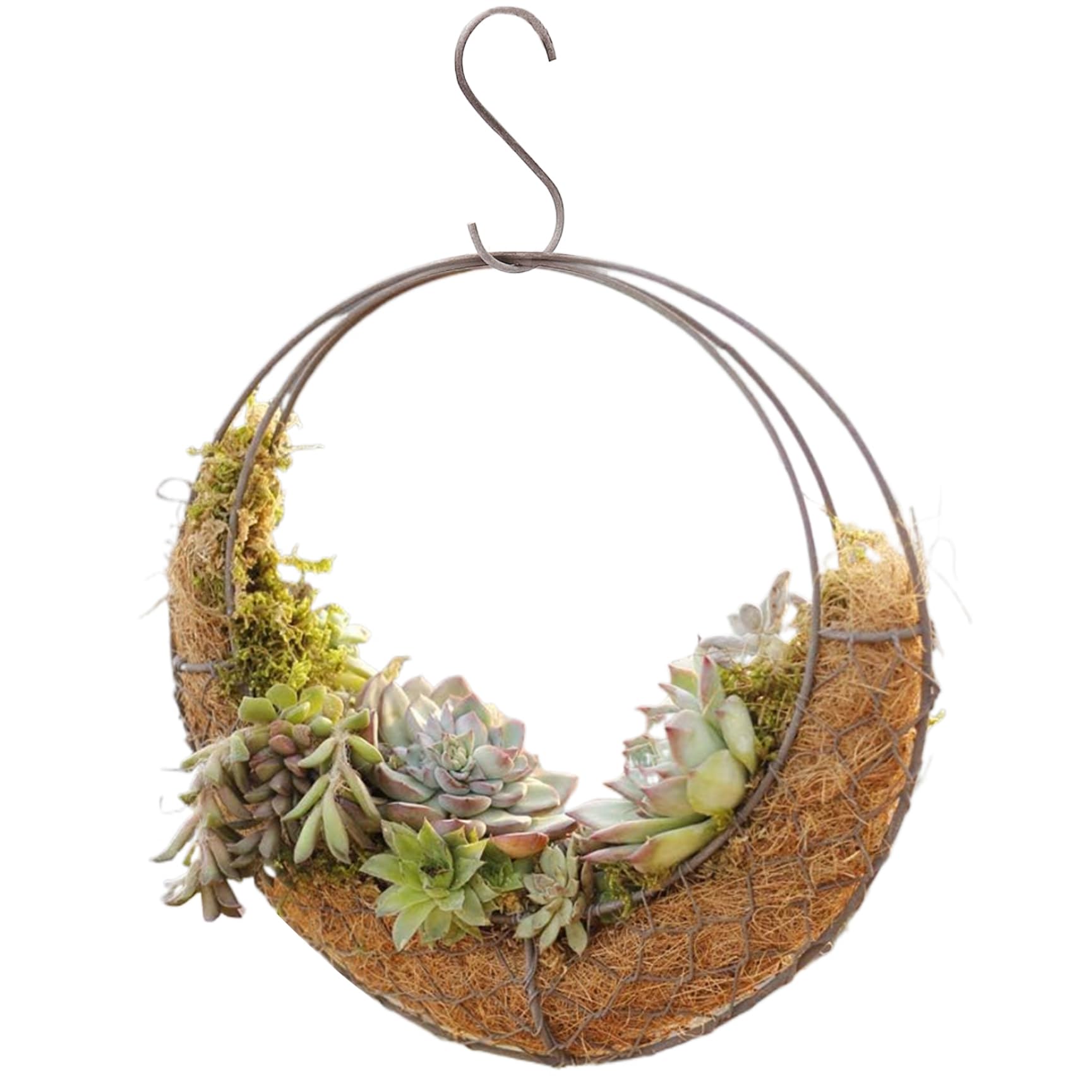 Planteur de lune suspendu pour jardin suspendu intérieur et décoration de balcon