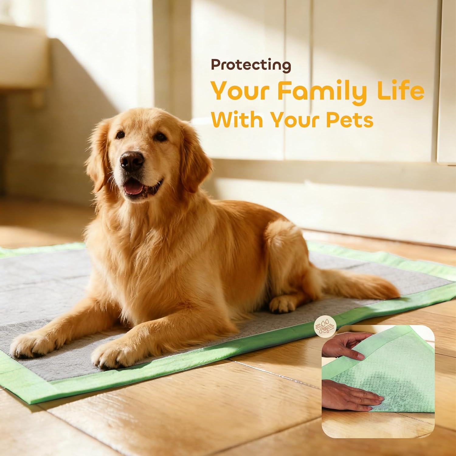 Pawtasy Charcoal Dog Pee Pads, 100 Count,22" x 22" Small Disposable Puppy Training Pads with Bamboo Charcoal Odor Control, 5-Layer Super Absorbent & Leak-Proof Pet Potty Pads for Dogs, Cats & Pets