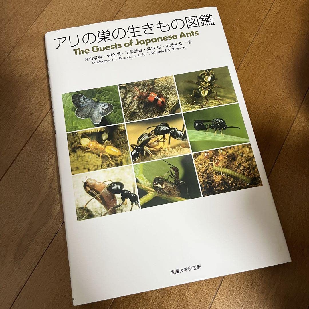 アリの巣の生きもの図鑑☆丸山宗利 小松貴 工藤誠也 島田拓 木野村