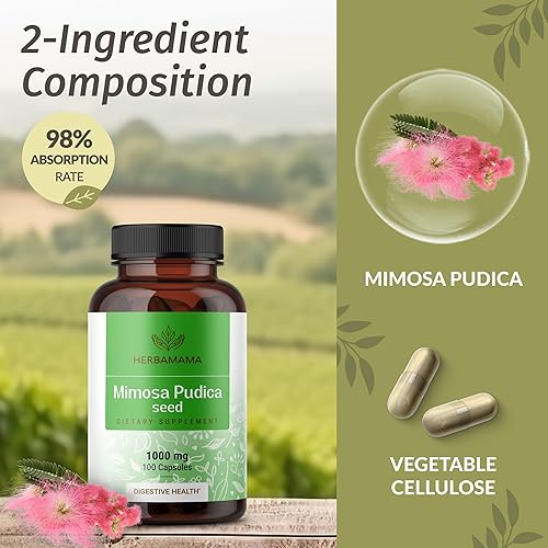 Miniatura 4 de HERBAMAMA Mimosa Pudica Seed Cápsulas – 1000 mg de extracto de Mimosa Pudica en polvo para limpieza digestiva y desintoxicación – Suplemento de