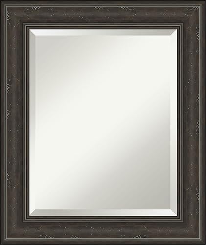 Amanti Art Espejo de baño marrón para sobre lavabo, espejo rectangular de 25x21 para tocador de naufragio gris lavado, marco tradicional pequeño, se