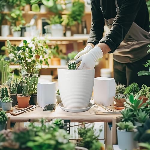 Miniatura 2 de Maceta de Cerámica de 8 Pulgadas, Maceta Redonda con Agujero de Drenaje y Platillo, Maceta Moderna para Plantas de Interior y Exterior, Blanca