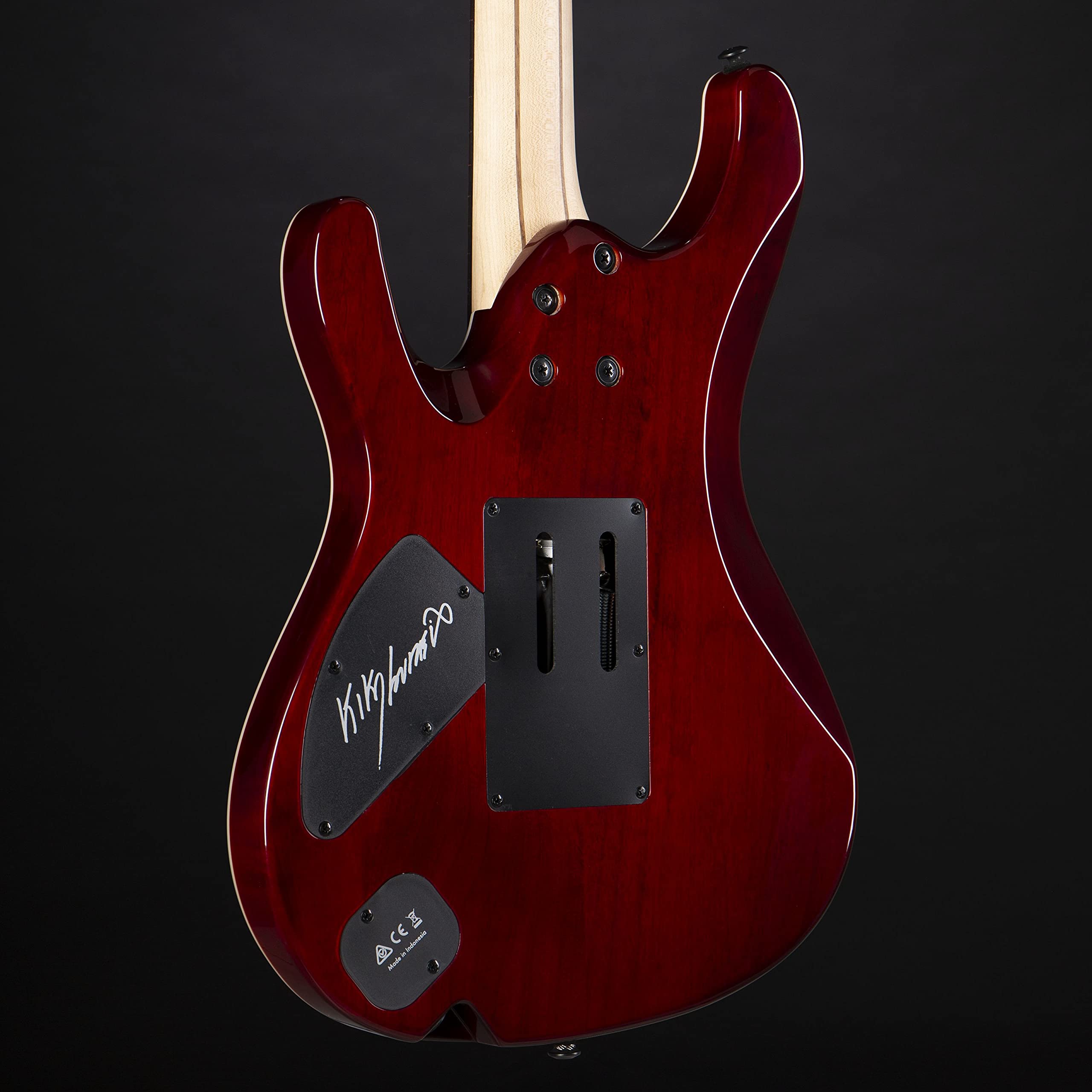 Ibanez Kiko Loureiro Premium KIKO10BP-TGB Transparent Gray Burst