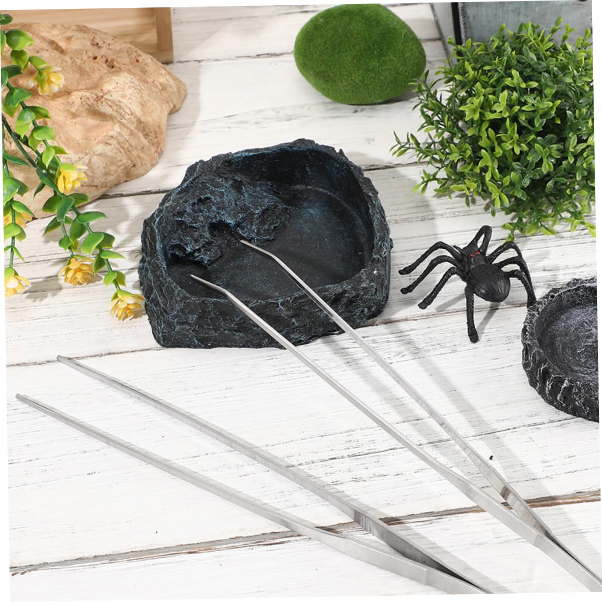 GLEAVI 1 Set Ciotola per Cibo Rettili con Pinzette Completo per Drago Barbuto e Tartarughe Accessorio Versatile per Terrari