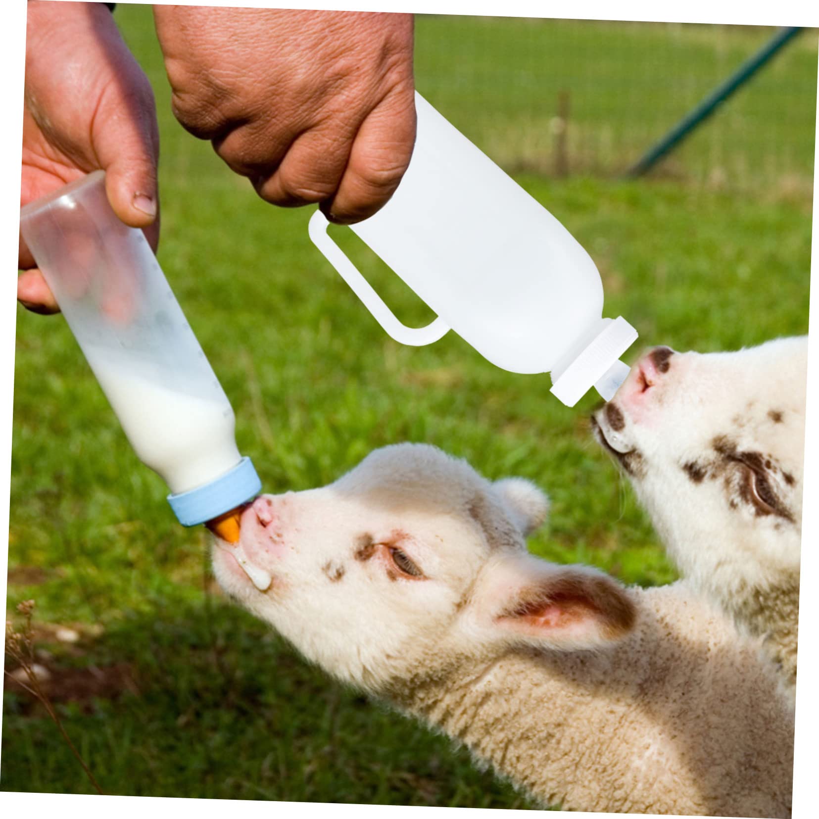Kisangel 4 Piezas biberón para Ternero Vacas bebé biberón de Juguete Botella de Leche para Mascotas biberón para Mascotas Aves de Corral Dispositivo de Lactancia Vacas y ovejas