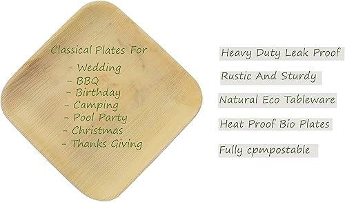Miniatura 3 de Platos y cubiertos desechables ecológicos (paquete de 25, 10" cuadrados)