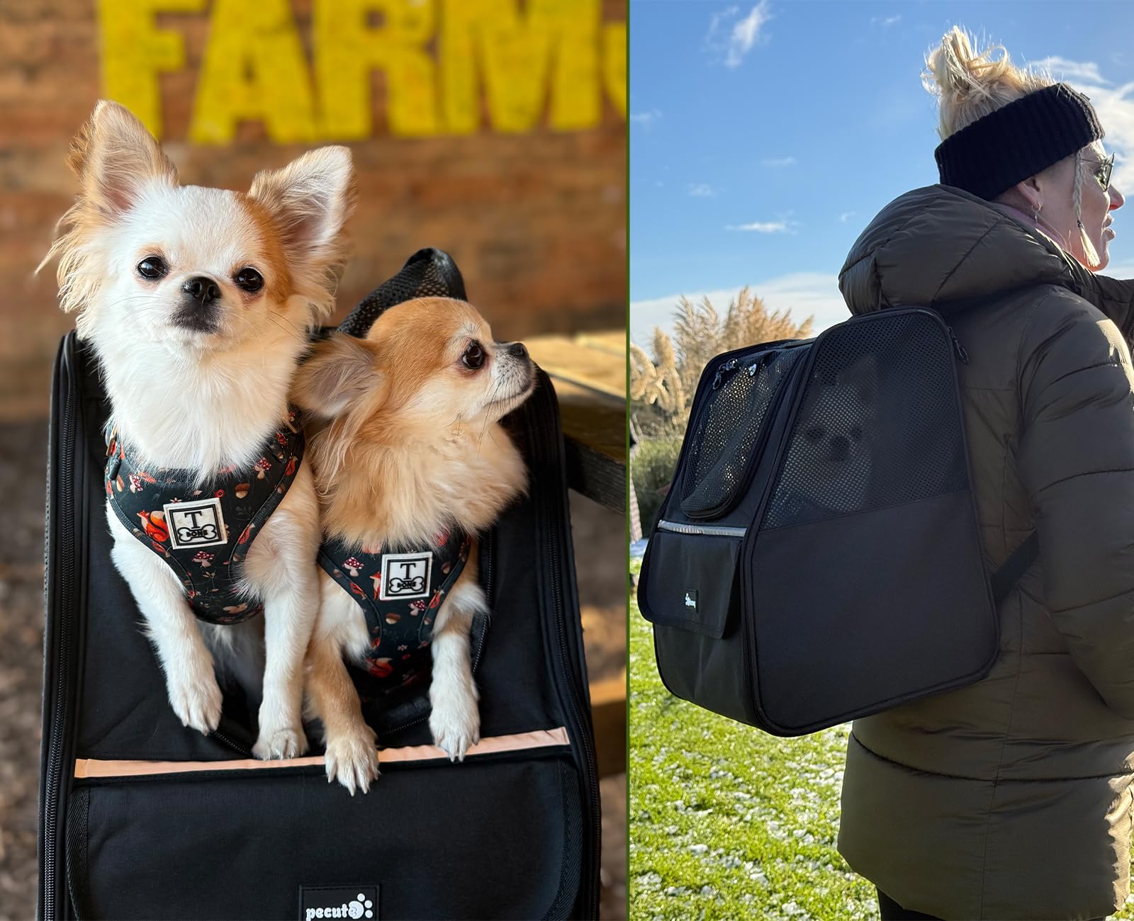 Pecute Zaino per gatti, zaino per cani di piccola taglia, zaino per gatti, cani, cuccioli, gattini, borsa da trasporto per viaggi, escursionismo, bicicletta, equitazione, passeggiate all'aperto, nero