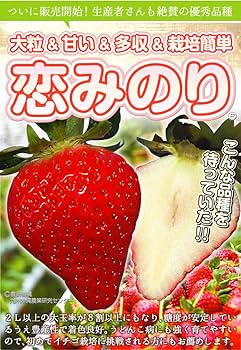 omochiプロデュースいちごぽしぇっとトナカイしゃんセット② 61YPFuYa8gL._UF350,350_QL50_.jpg
