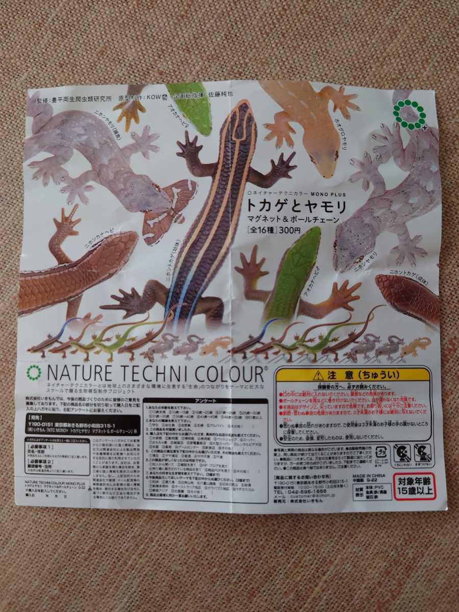 ♯Gti10JB　ネイチャーMONOトカゲヤモリストラップ&マグネット4種 Amazon.co.jp: ネイチャーテクニカラーMONO いきもん トカゲ ヤモリ