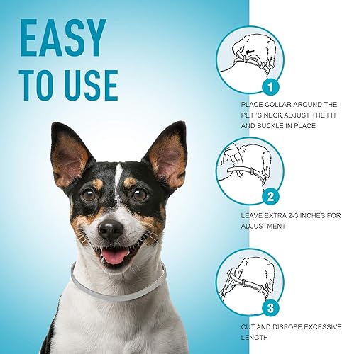 Miniatura 5 de Collar para pulgas y garrapatas para perros, paquete de 2, prevención natural de pulgas y garrapatas para perros, protección de 8 meses, talla