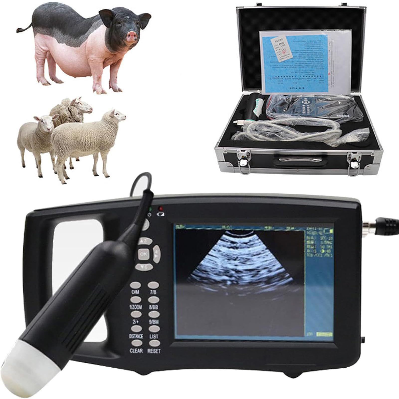 Scanner ad ultrasuoni per gravidanza, macchina veterinaria ad ultrasuoni con sonda 3.5MHz, schermo LCD portatile da 5,6 pollici, strumento diagnostico leggero