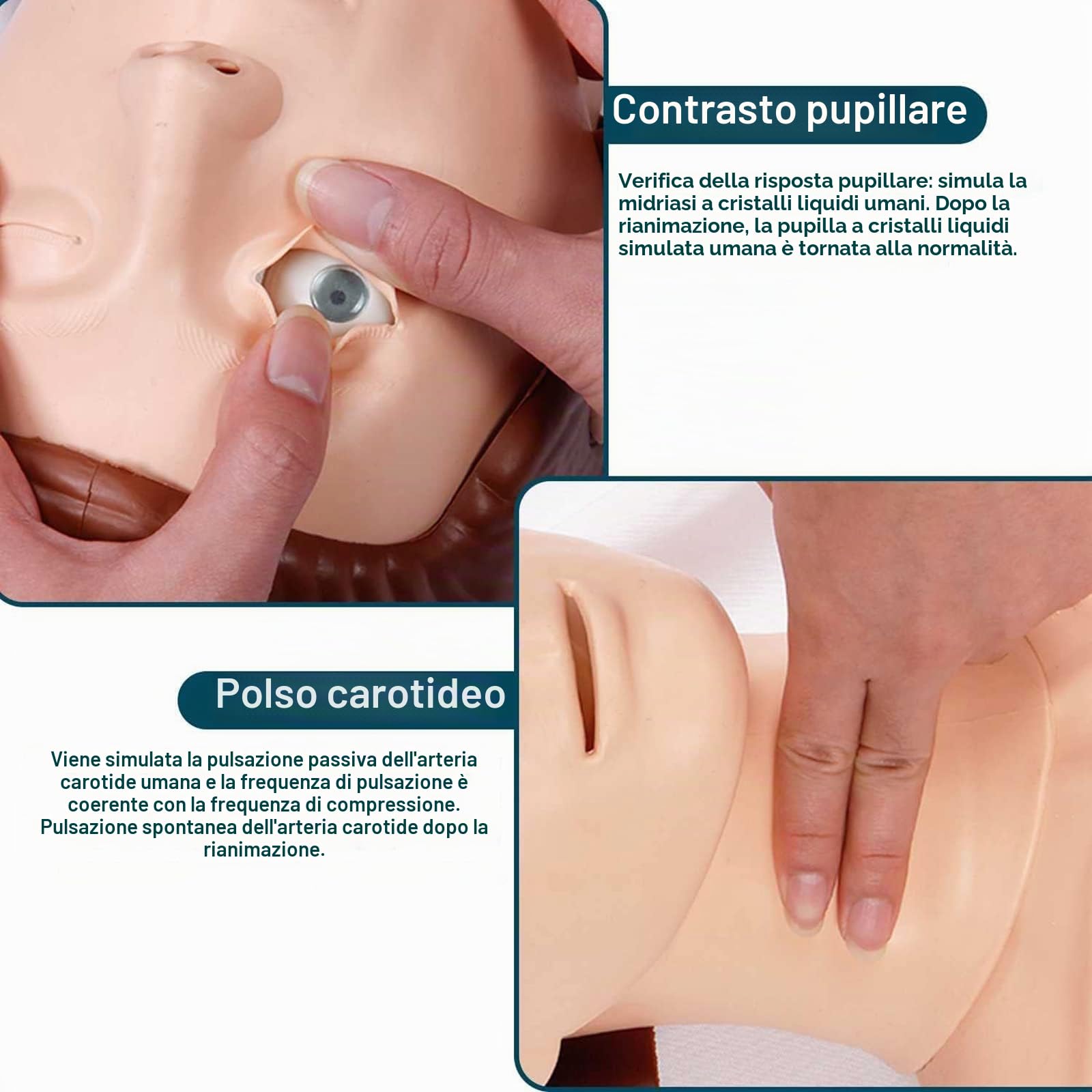 ZMIN CPR Manichino didattico Adulto, Professionale Formazione Manichino Primo Soccorso Modello Medico Umano per Addestramento al Pronto Soccorso