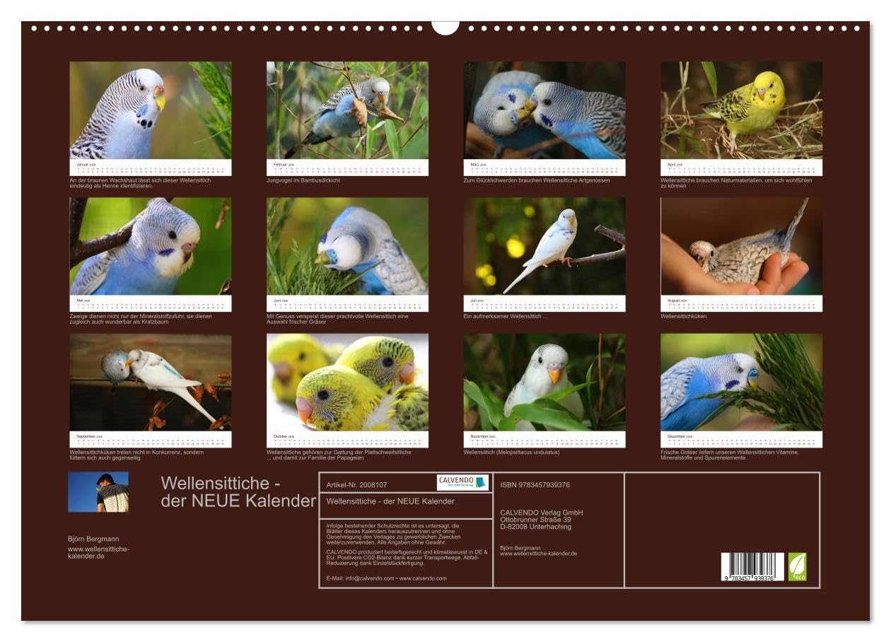 Wellensittiche - der NEUE Kalender (Wandkalender 2026 DIN A2 quer), CALVENDO Monatskalender: Ein prachtvolles Titelbild und zwölf herzergreifende ... zu einem wahren Hingucker! (CALVENDO Tiere)