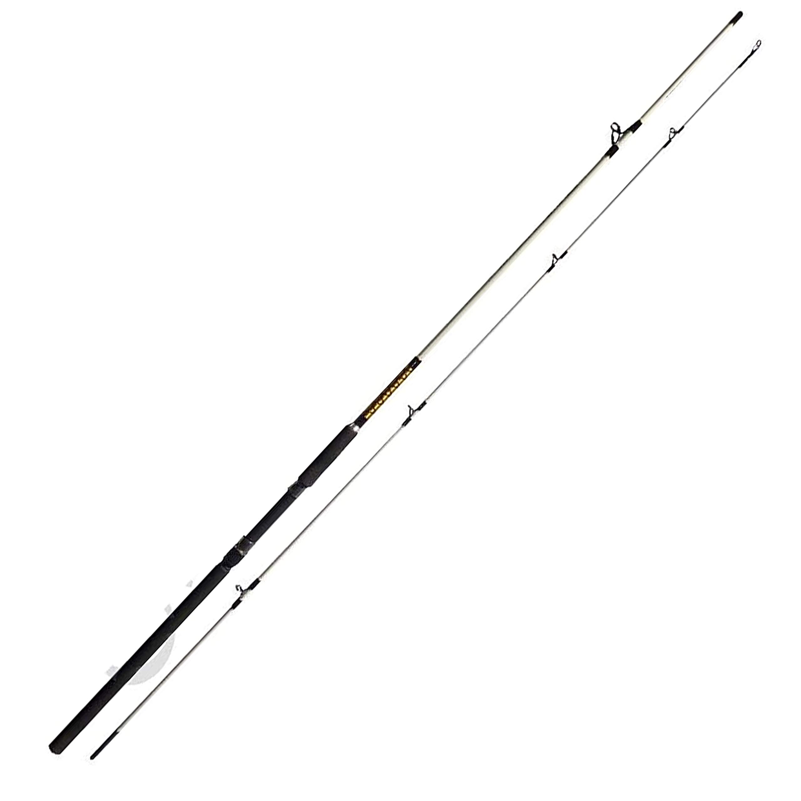 Canna Pesca Spinning Artificiali Spigola Serra Trainetta Mare Bolentino