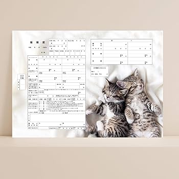 Amazon | 役所提出用 婚姻届 萌える反則級の可愛さ!キュンとする