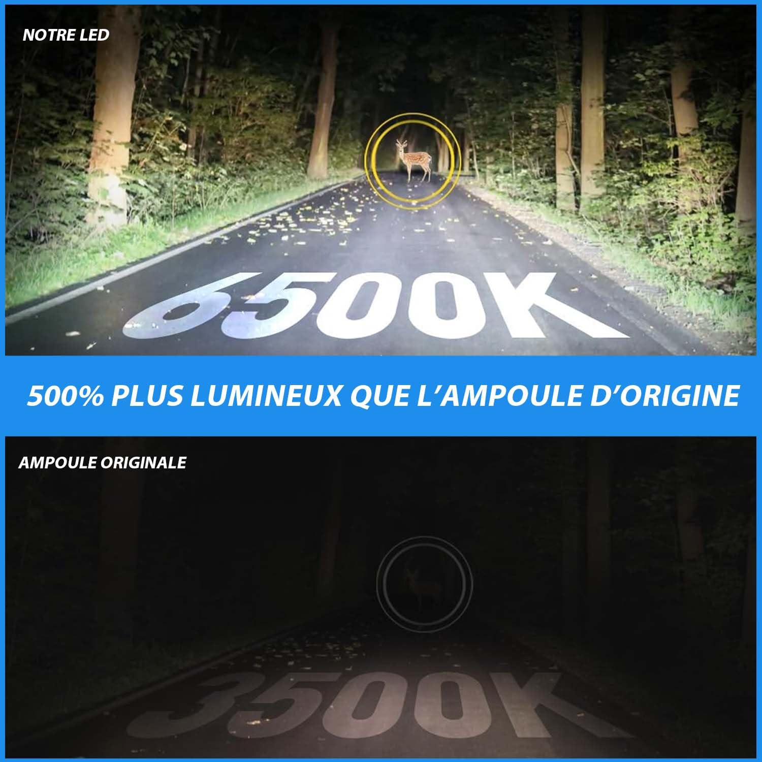 H8 H11 Ampoules Antibrouillard LED 6500K Blanc, Eclairage à 360 Degrés, Conception de Lentille Convexe, Puce LED Surround 4 Côtés, 1:1 Taille Remplace les Lampes Halogènes, 2 Pièces