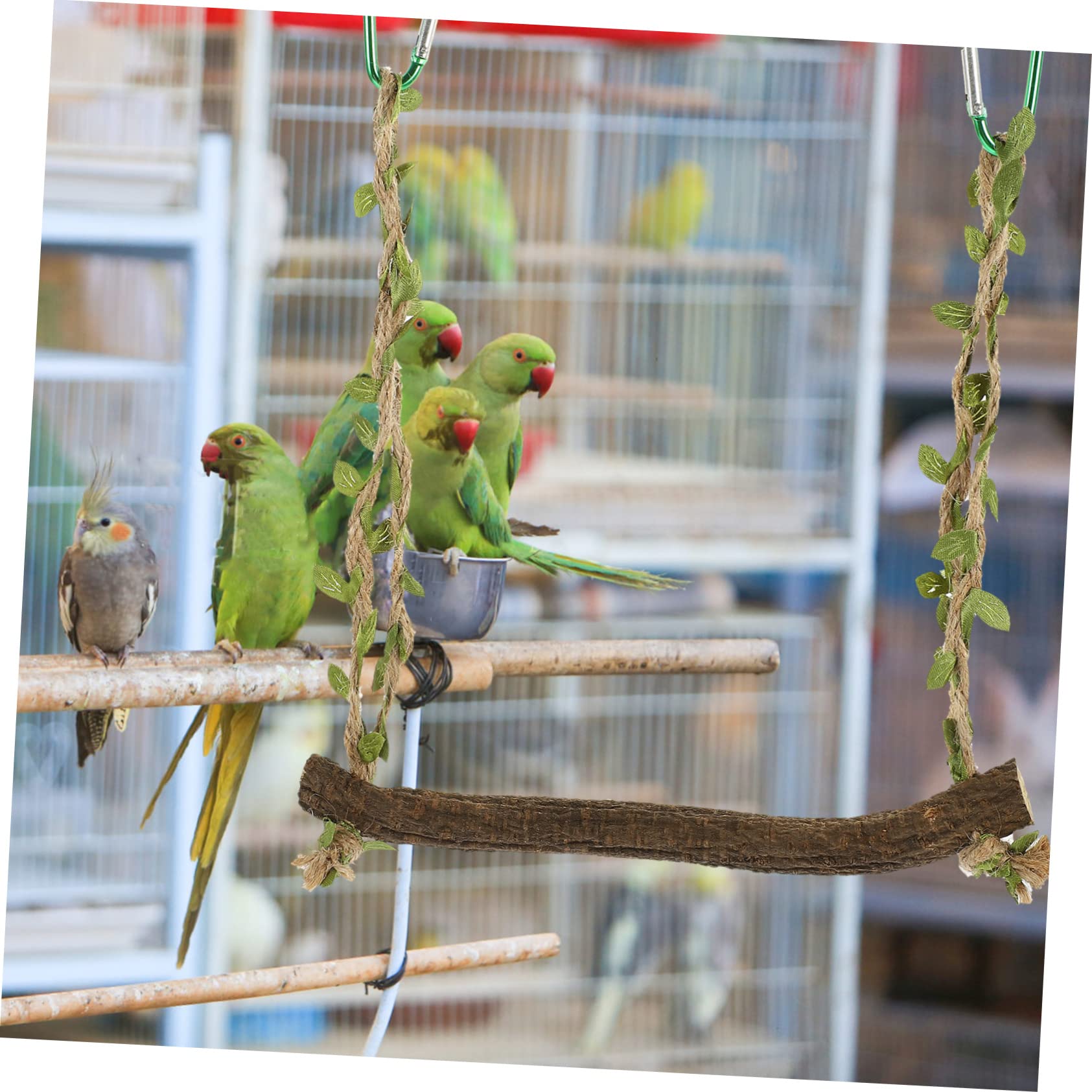 Yardwe 5stücke Parakeet Schaukelspielzeug Für Papageien Natürliche Vogelspielzeug Perch Für Käfige Für Wellensittiche Und Kleine Vögel Fördert Spiel Und