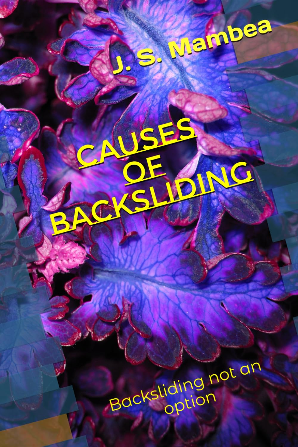 CAUSES OF BACKSLIDING: Backsliding not an option (RELATIONSHIPS)