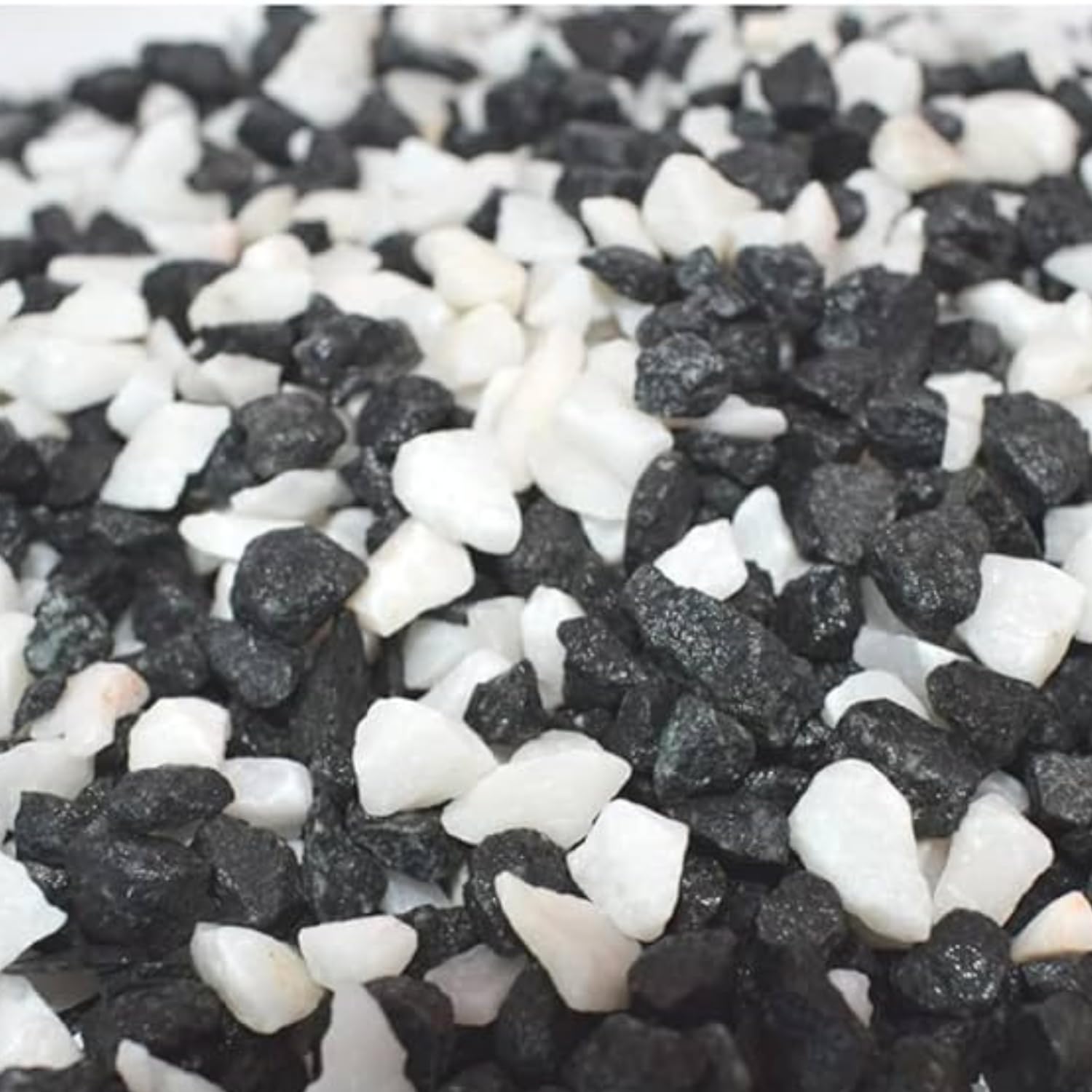 1 Kg Black and White Mixed Marble Chip Pebbles for Decoration |Garden|Table|Terrariums| Home Decor|Vase Fillers-image-5