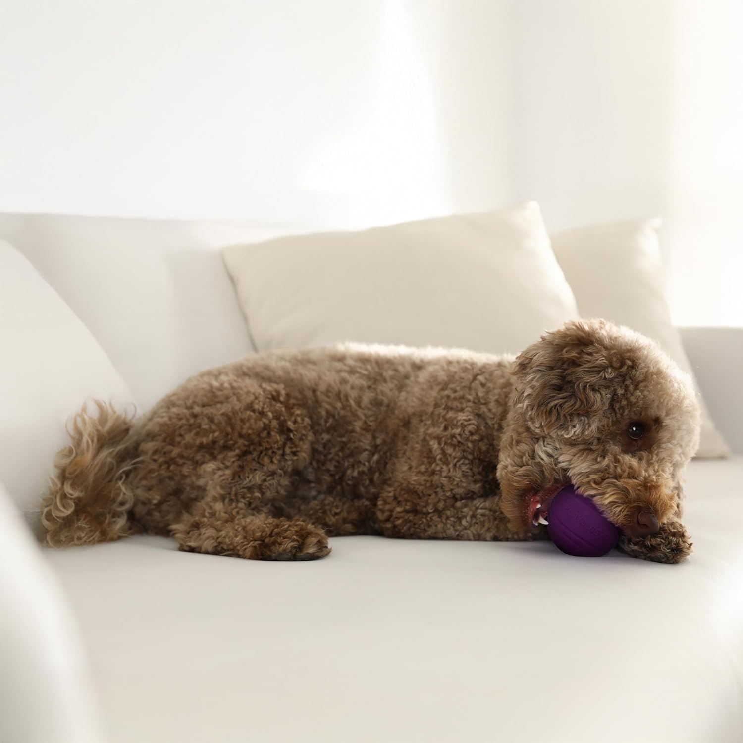 Playology Durable Dual Layer Dog Ball Toy - Medium, Bacon Scent image 3