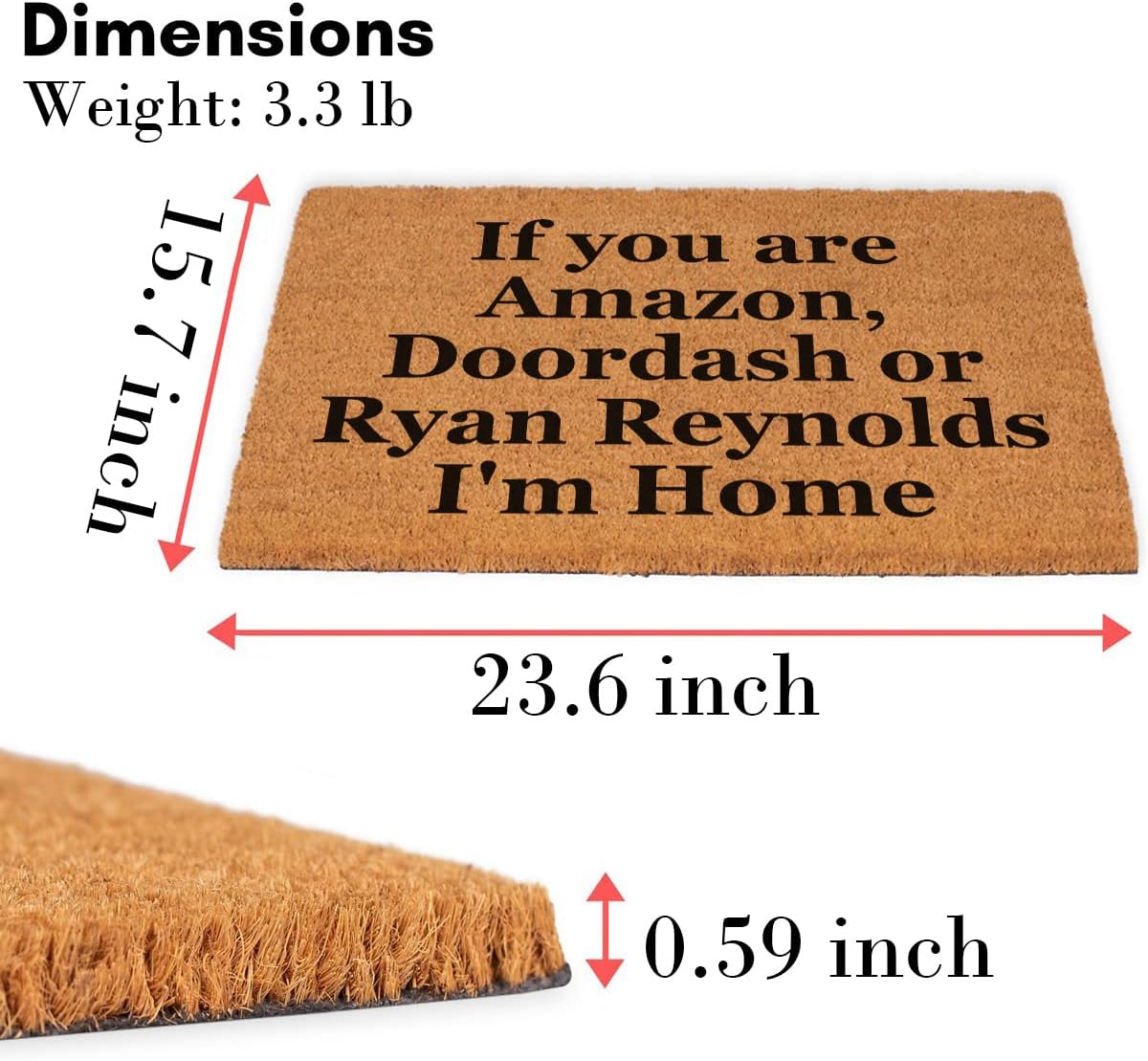 Funny If You are Amazon Doordash or Ryan Reynolds Front Porch Decor Doormat for The Entrance Way Personalized Rugs PVC Backing Non Slip Outdoor Coconut Coir Doormat 23.6 x 15.7 inch