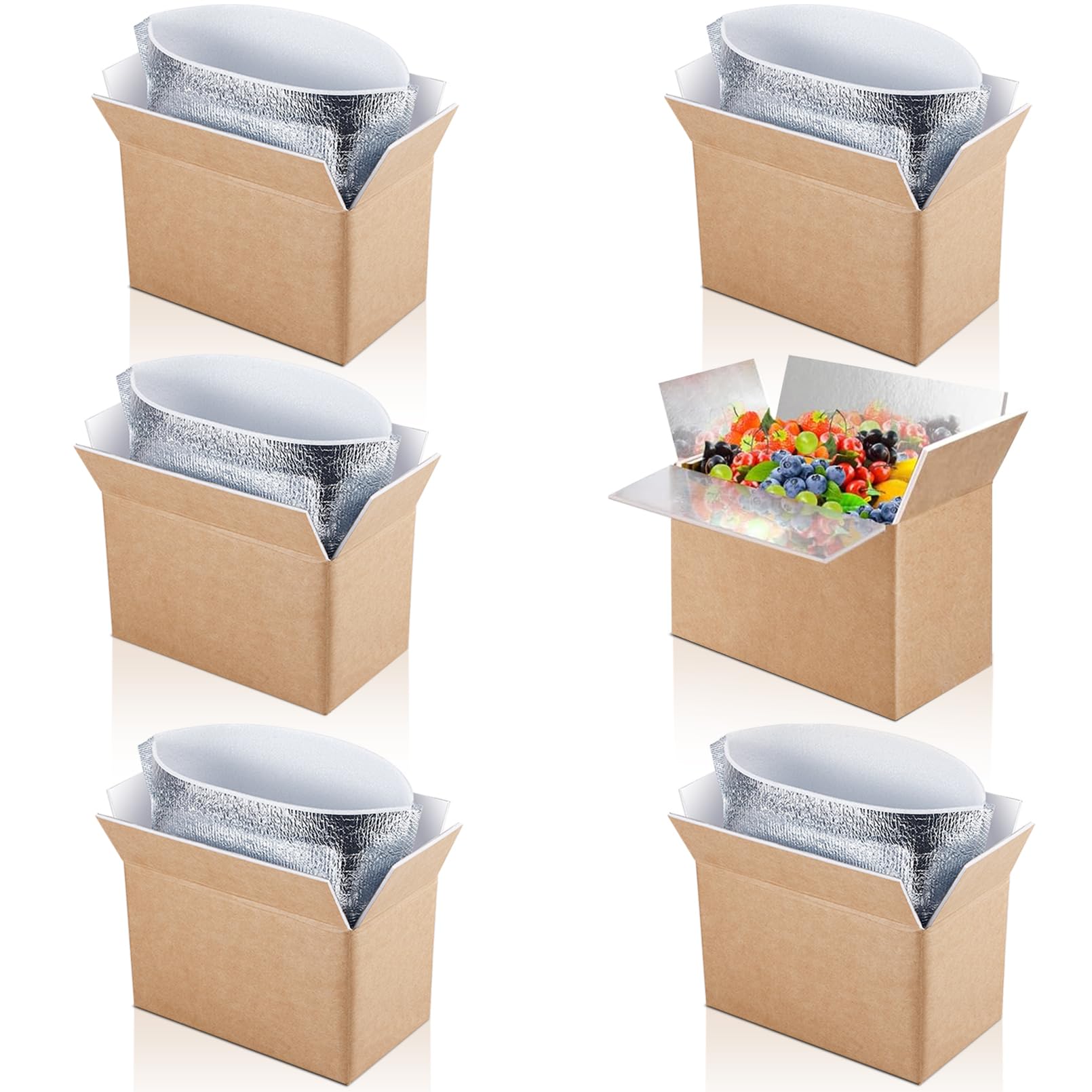ausurme 6 Pack Double Insulated Shipping Boxes with Aluminum Foil Insulated Bag, Cold Shipping Boxes for Frozen Food Packing Mailing, Inside 9 x 6 x 5 in