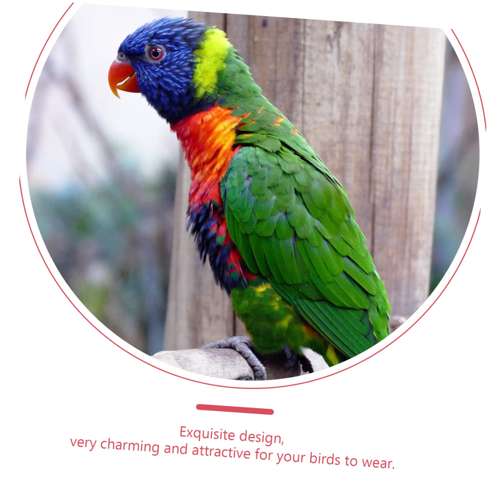 Lot De 4 Couches en Coton pour Oiseaux, Vêtements Légers Et Réutilisables, Taille M, Confortable pour Perroquets Et Petits Oiseaux, Adapté Au Quotidien Et Sorties en Extérieur