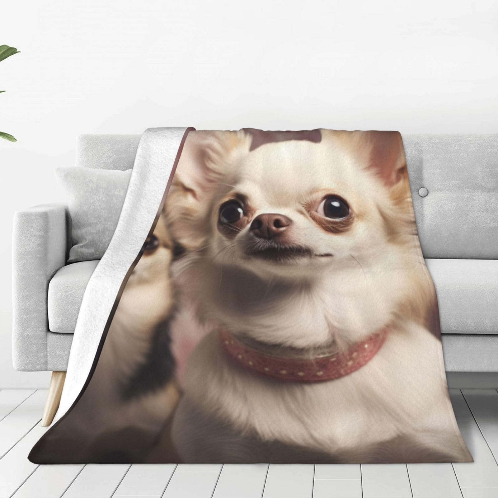 Couverture polaire chihuahua plaid original à offrir pour toute la famille