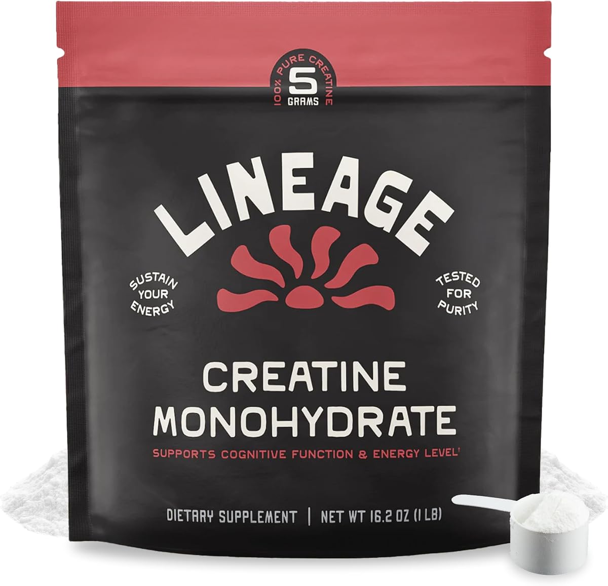 Creatine Monohydrate with Sea Salt, 90 Servings | Micronized creatine powder for training & performance with no artificial ingredients.