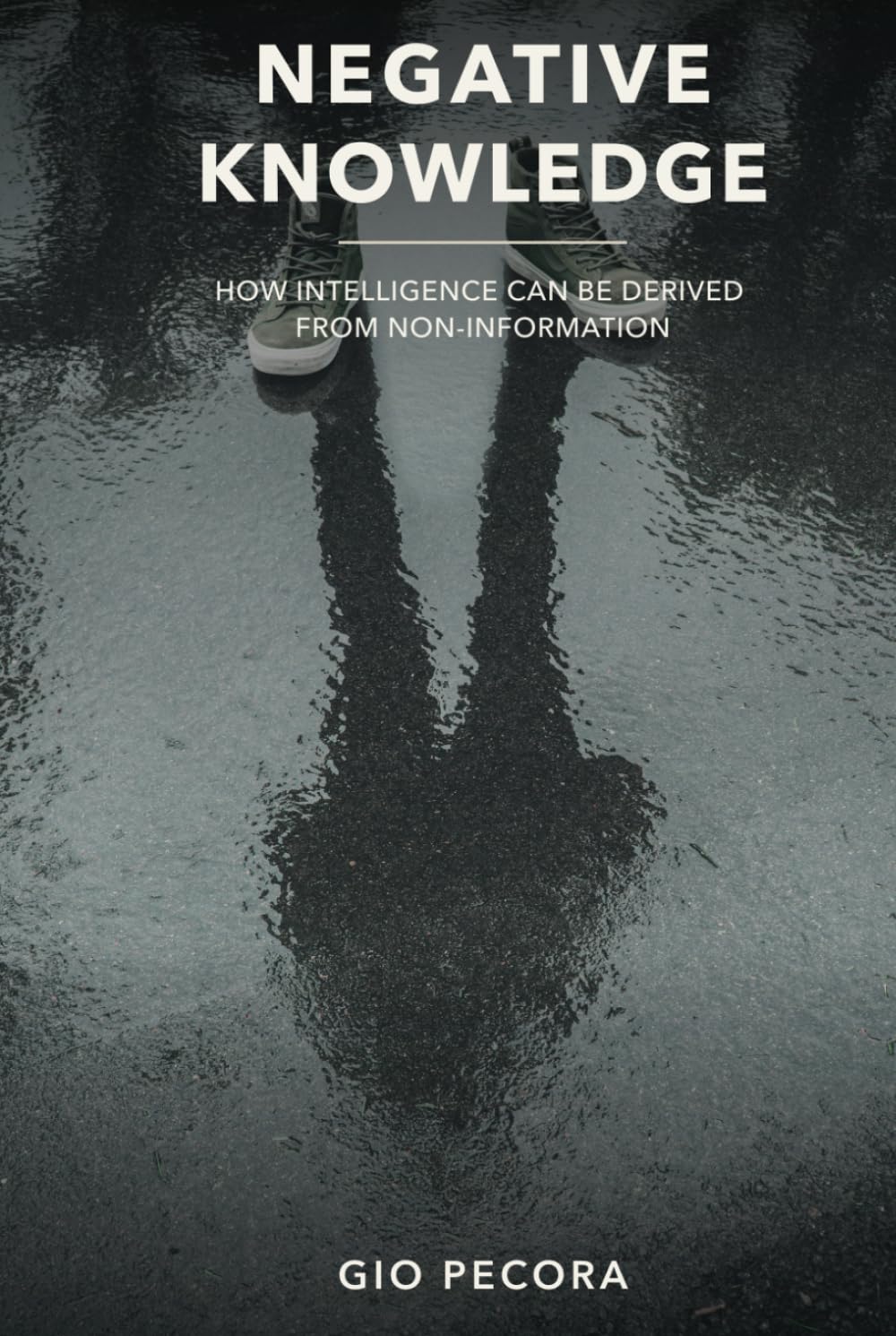 NEGATIVE KNOWLEDGE: HOW INTELLIGENCE CAN BE DERIVED FROM NON-INFORMATION