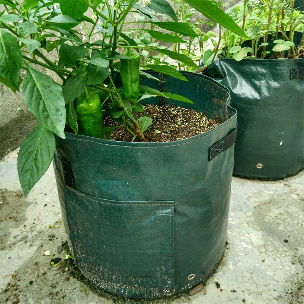 Bolsa de Cultivo Patata Grow Planter Paño Plantación Bolsa de contenedor Espesano Pote Potato Plantación Bolsa Tomates Vegetal Plant