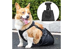 Dog Drag Bag for Disabled Dogs: A Sublime Alternative to Dog Wheelchairs