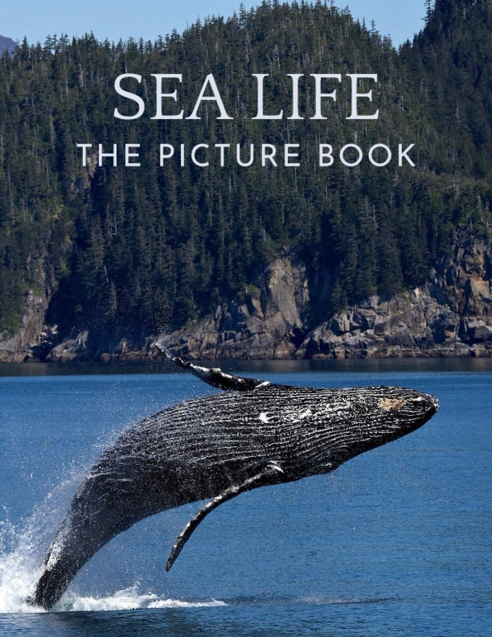 SEA LIFE: The Picture Book of Sea Life, Perfect Book for Seniors, Alzheimer's with Dementia.