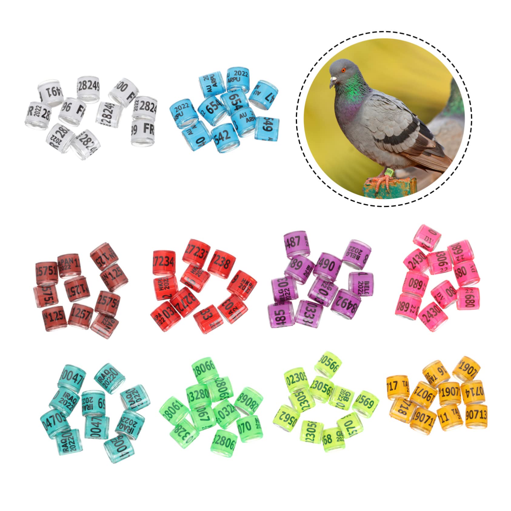 POPETPOP 400pezzi Anelli Identificativi per Piccioni Alluminio da Fasce per Uccelli Regolabili Riutilizzabili e Facili da Applicare per Pollame e Allevamento di Avicoli