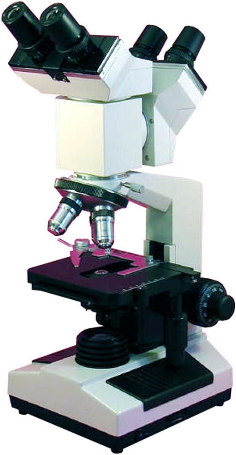 AmScope D200 DualView Compound Binocular Microscope, WF10x Objectives, 40X1000X Magnification