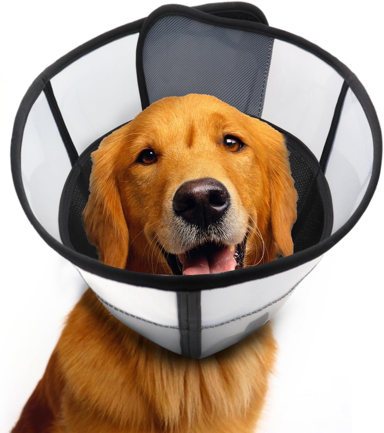 Soft Dog Cone for Dogs After Surgery