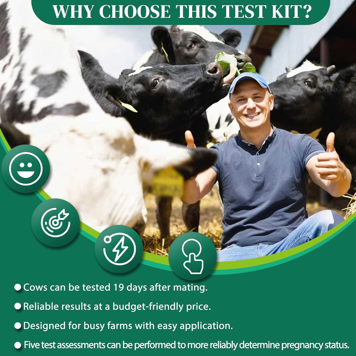 5-Pack Bovine Pregnancy Test Kit for Cows, Rapid Results in 5-20 Minutes, Works with Whole Blood, Serum & Plasma for Dairy & Beef Cattle